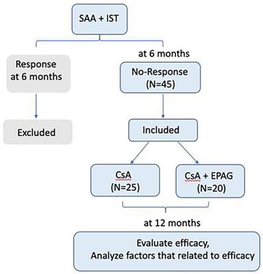 Partial SAA patients benefit from delayed response of IST